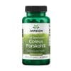Indijska kopriva – Forskolin Swanson, 400 mg (60 kapsul)