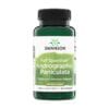 Andrographis paniculata Swanson, 400 mg (60 kapsul)